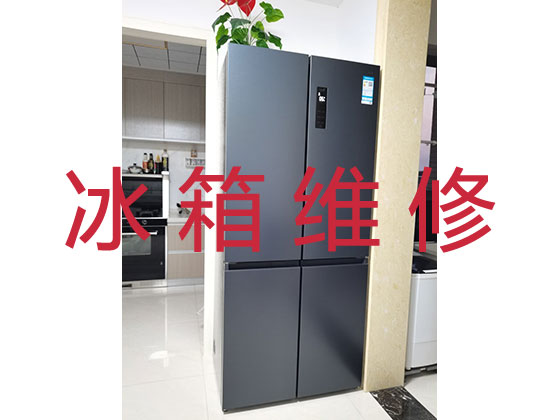 广州冰箱冰柜维修上门服务